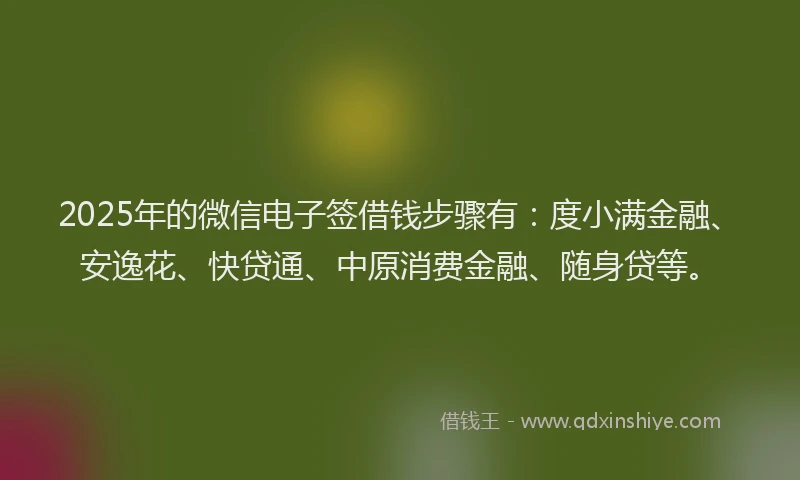 2025年的微信电子签借钱步骤有：度小满金融、安逸花、快贷通、中原消费金融、随身贷等。