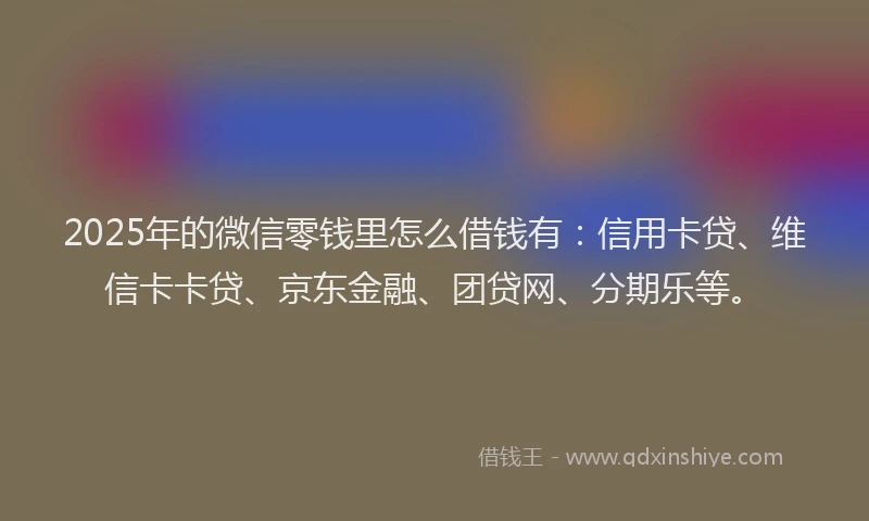 2025年的微信零钱里怎么借钱有：信用卡贷、维信卡卡贷、京东金融、团贷网、分期乐等。