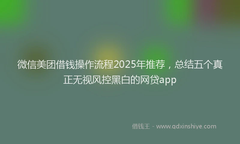 微信美团借钱操作流程2025年推荐，总结五个真正无视风控黑白的网贷app