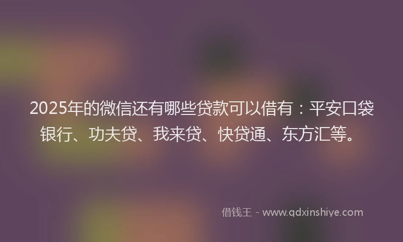2025年的微信还有哪些贷款可以借有：平安口袋银行、功夫贷、我来贷、快贷通、东方汇等。