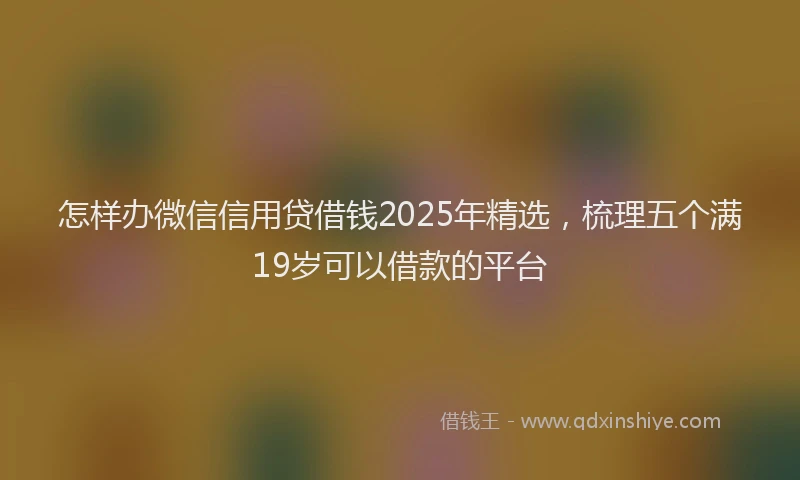 怎样办微信信用贷借钱2025年精选，梳理五个满19岁可以借款的平台