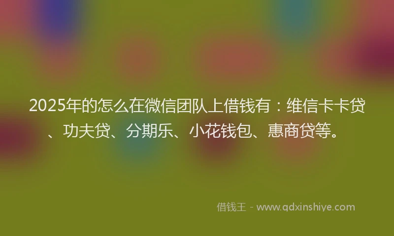 2025年的怎么在微信团队上借钱有：维信卡卡贷、功夫贷、分期乐、小花钱包、惠商贷等。