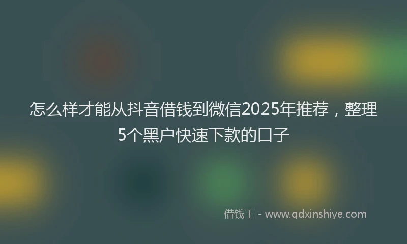 怎么样才能从抖音借钱到微信2025年推荐，整理5个黑户快速下款的口子