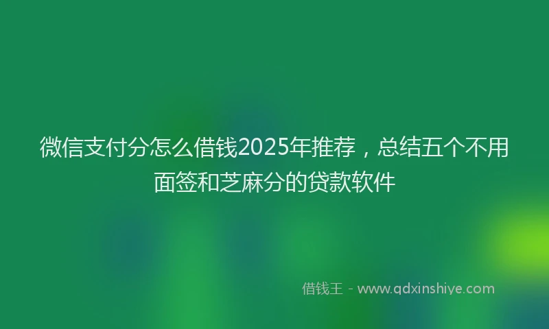 微信支付分怎么借钱2025年推荐，总结五个不用面签和芝麻分的贷款软件