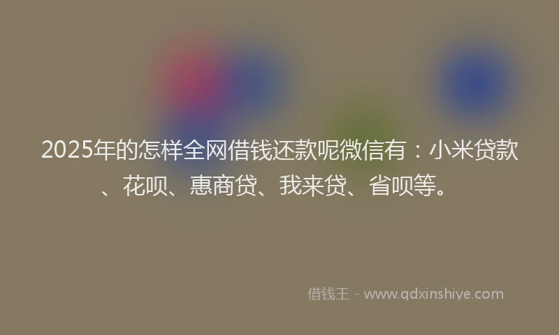 2025年的怎样全网借钱还款呢微信有：小米贷款、花呗、惠商贷、我来贷、省呗等。