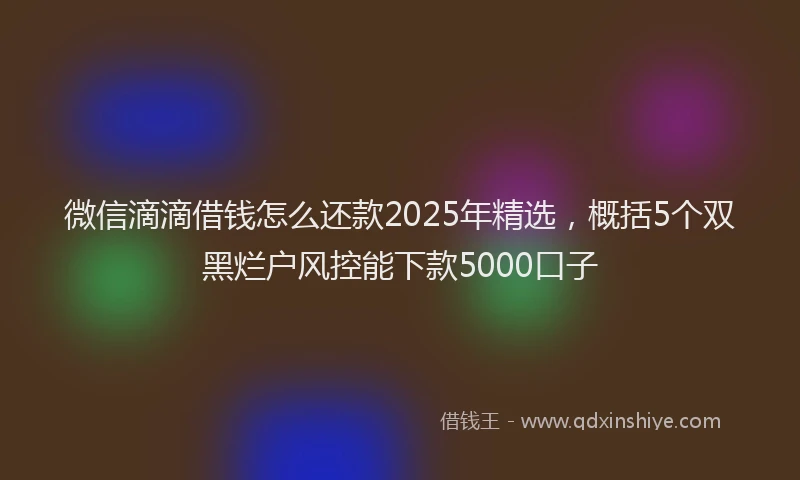 微信滴滴借钱怎么还款2025年精选，概括5个双黑烂户风控能下款5000口子