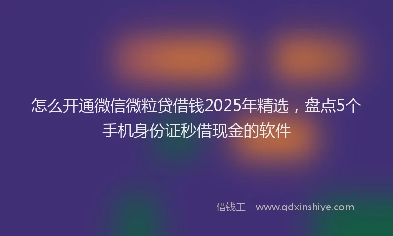 怎么开通微信微粒贷借钱2025年精选，盘点5个手机身份证秒借现金的软件