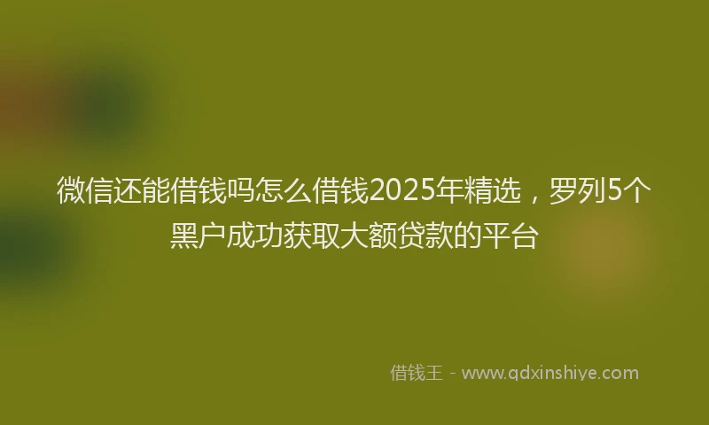 微信还能借钱吗怎么借钱2025年精选，罗列5个黑户成功获取大额贷款的平台