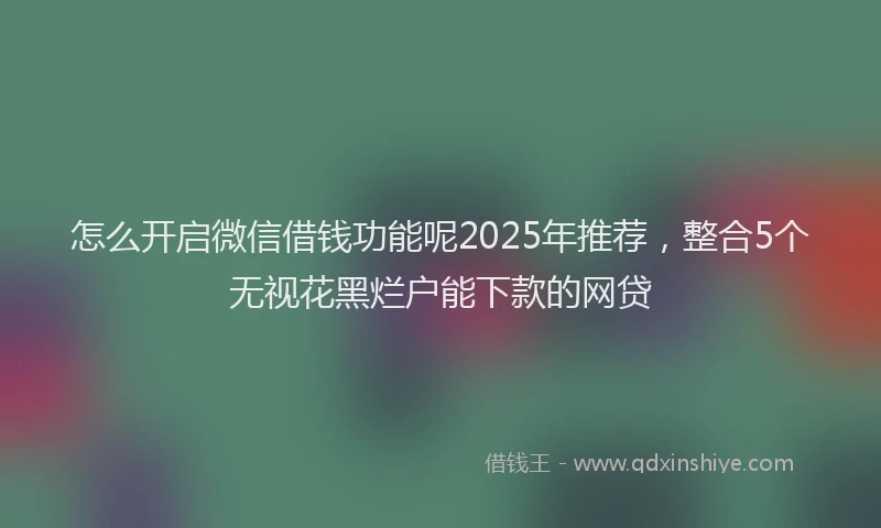 怎么开启微信借钱功能呢2025年推荐，整合5个无视花黑烂户能下款的网贷