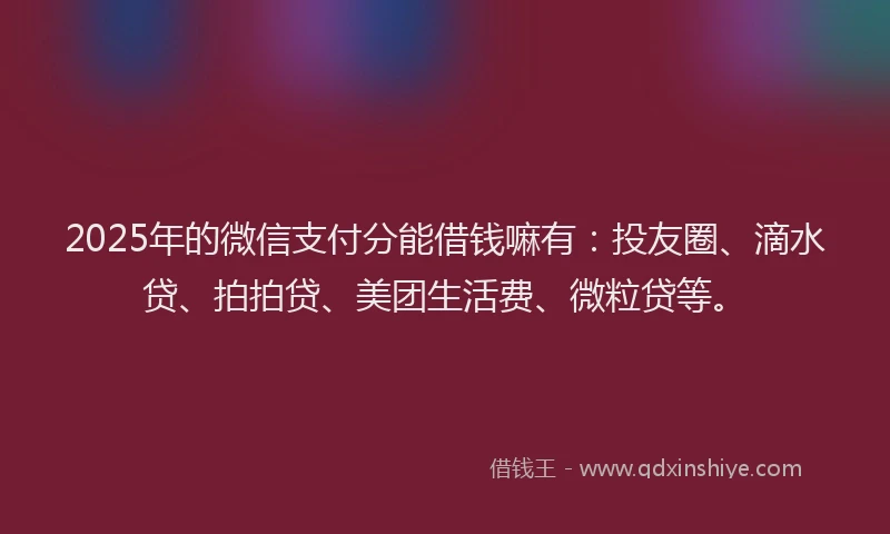 2025年的微信支付分能借钱嘛有：投友圈、滴水贷、拍拍贷、美团生活费、微粒贷等。