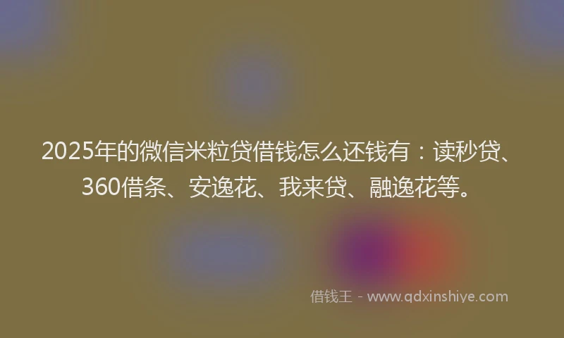 2025年的微信米粒贷借钱怎么还钱有：读秒贷、360借条、安逸花、我来贷、融逸花等。