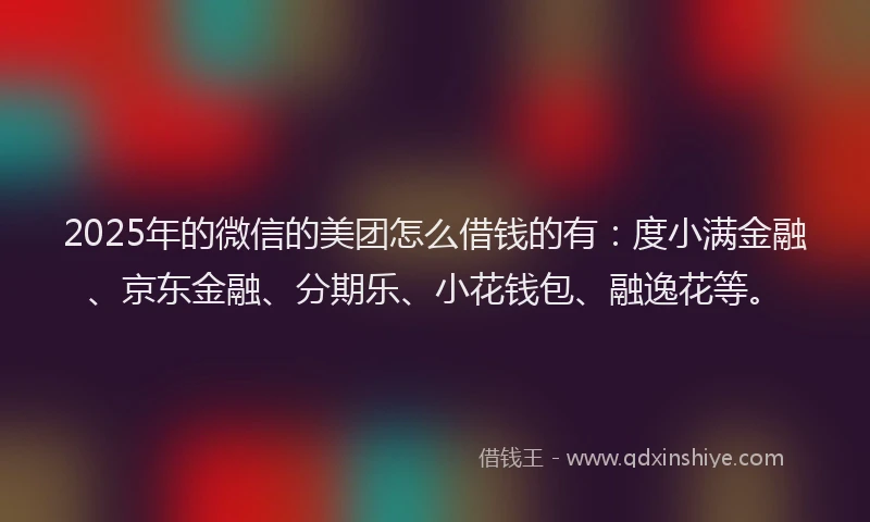 2025年的微信的美团怎么借钱的有：度小满金融、京东金融、分期乐、小花钱包、融逸花等。