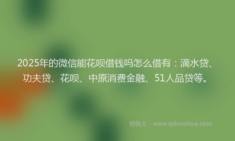 2025年的微信能花呗借钱吗怎么借有：滴水贷、功夫贷、花呗、中原消费金融、51人品贷等。