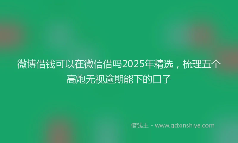 微博借钱可以在微信借吗2025年精选，梳理五个高炮无视逾期能下的口子