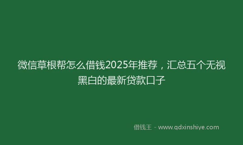 微信草根帮怎么借钱2025年推荐，汇总五个无视黑白的最新贷款口子