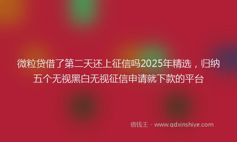 微粒贷借了第二天还上征信吗2025年精选，归纳五个无视黑白无视征信申请就下款的平台