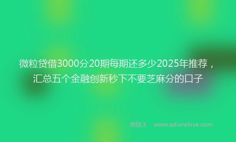 微粒贷借3000分20期每期还多少2025年推荐，汇总五个金融创新秒下不要芝麻分的口子