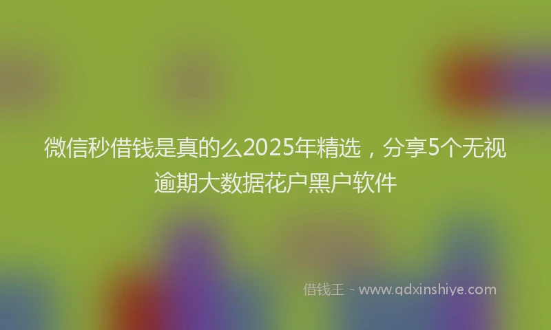 微信秒借钱是真的么2025年精选，分享5个无视逾期大数据花户黑户软件