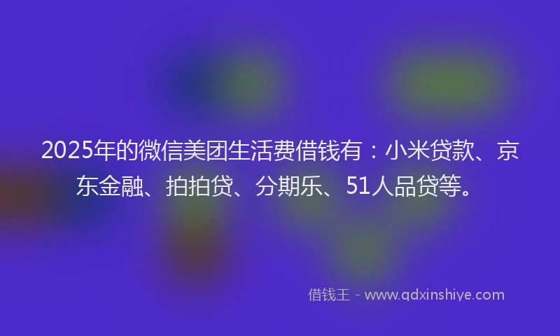 2025年的微信美团生活费借钱有：小米贷款、京东金融、拍拍贷、分期乐、51人品贷等。