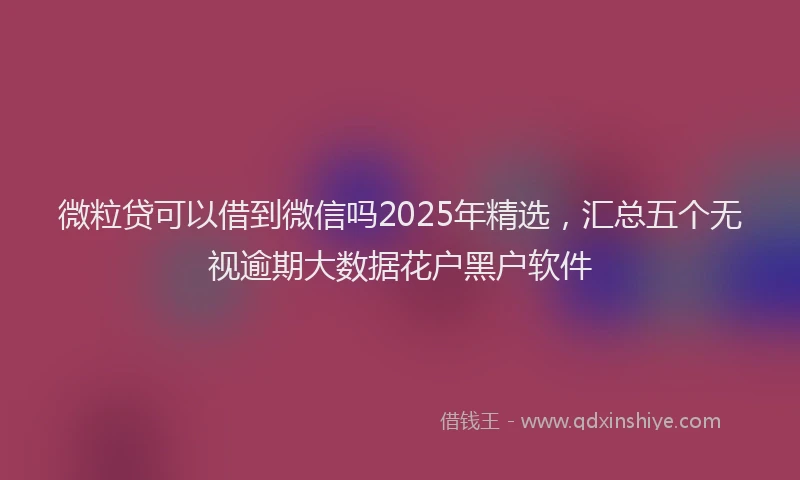 微粒贷可以借到微信吗2025年精选，汇总五个无视逾期大数据花户黑户软件