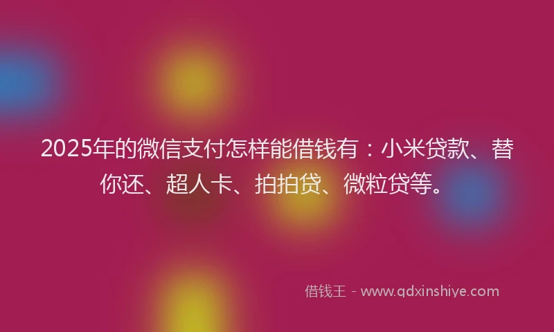 2025年的微信支付怎样能借钱有：小米贷款、替你还、超人卡、拍拍贷、微粒贷等。
