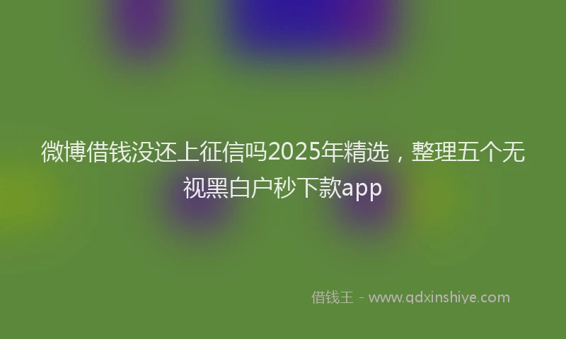 微博借钱没还上征信吗2025年精选，整理五个无视黑白户秒下款app