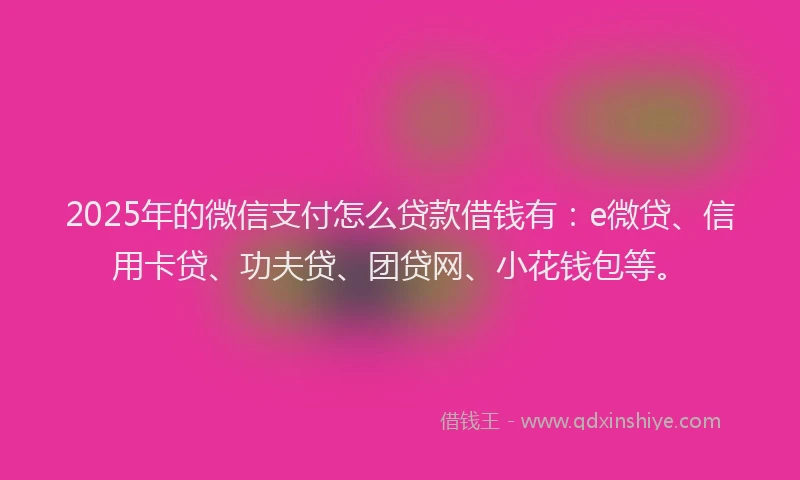 2025年的微信支付怎么贷款借钱有：e微贷、信用卡贷、功夫贷、团贷网、小花钱包等。