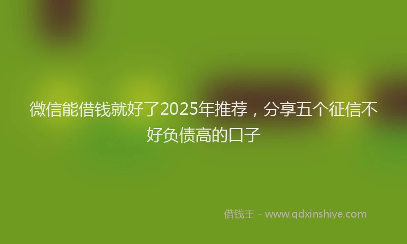 微信能借钱就好了2025年推荐，分享五个征信不好负债高的口子