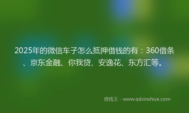 2025年的微信车子怎么抵押借钱的有：360借条、京东金融、你我贷、安逸花、东方汇等。
