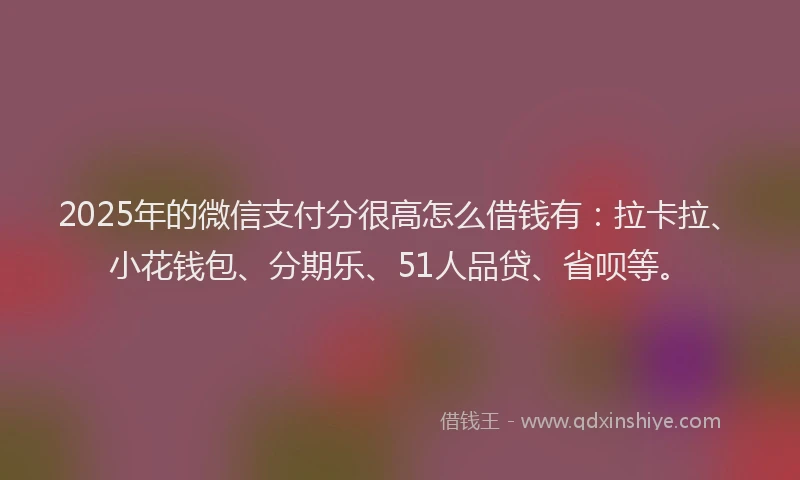 2025年的微信支付分很高怎么借钱有：拉卡拉、小花钱包、分期乐、51人品贷、省呗等。