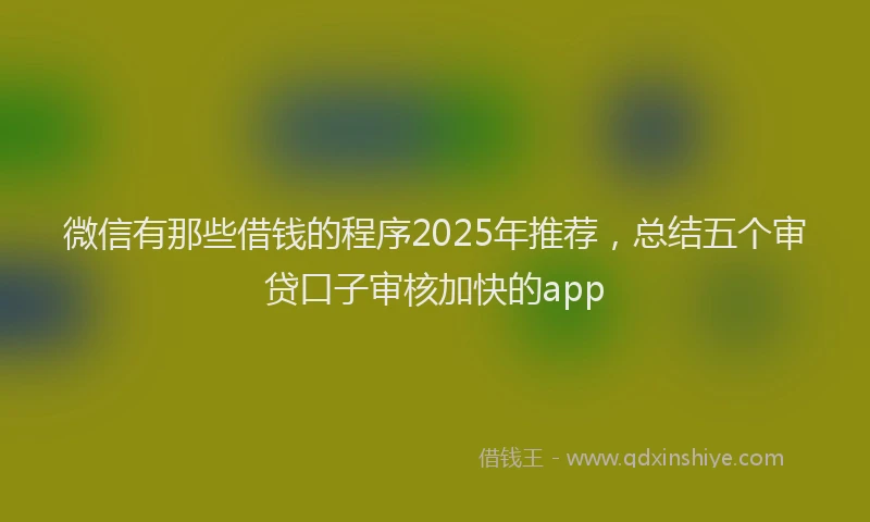 微信有那些借钱的程序2025年推荐，总结五个审贷口子审核加快的app