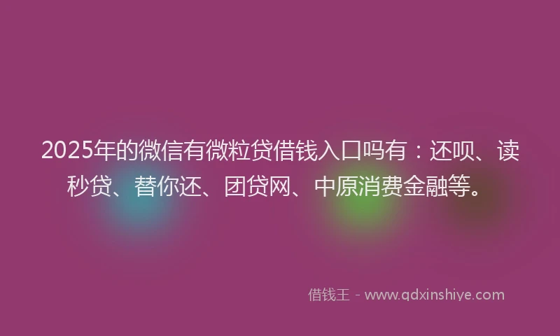 2025年的微信有微粒贷借钱入口吗有：还呗、读秒贷、替你还、团贷网、中原消费金融等。