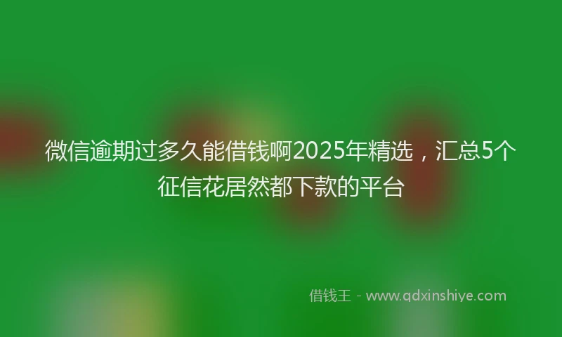 微信逾期过多久能借钱啊2025年精选，汇总5个征信花居然都下款的平台