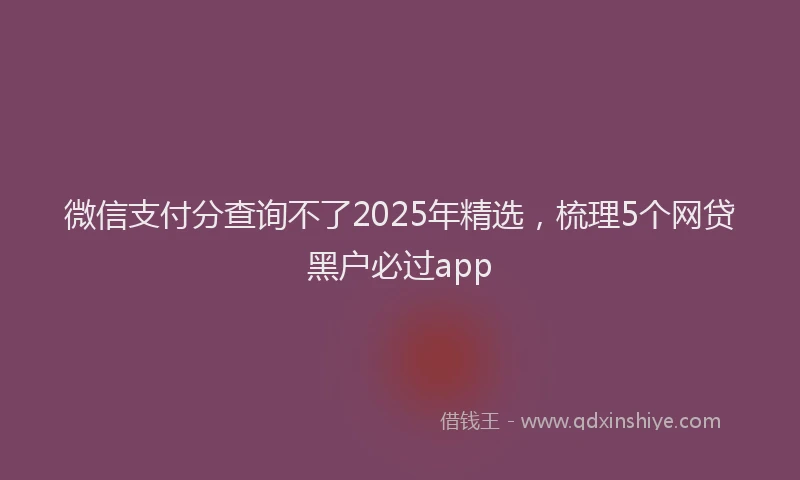 微信支付分查询不了2025年精选，梳理5个网贷黑户必过app
