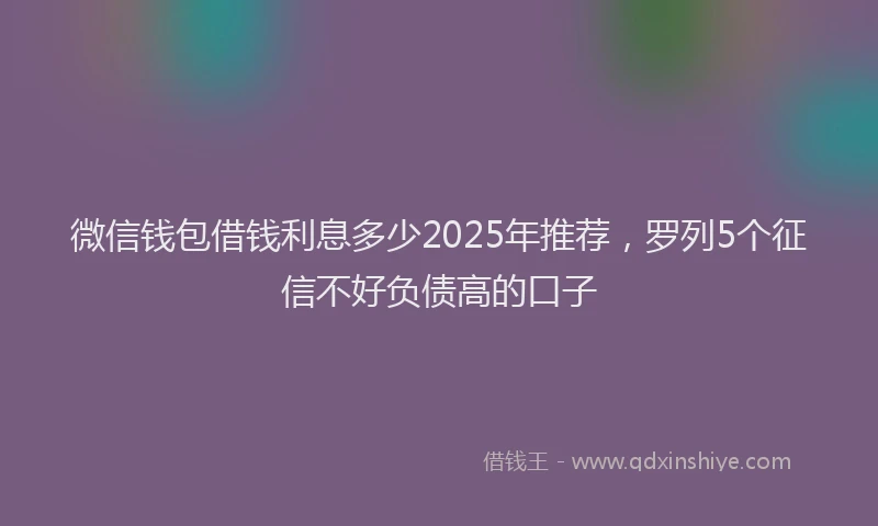微信钱包借钱利息多少2025年推荐，罗列5个征信不好负债高的口子