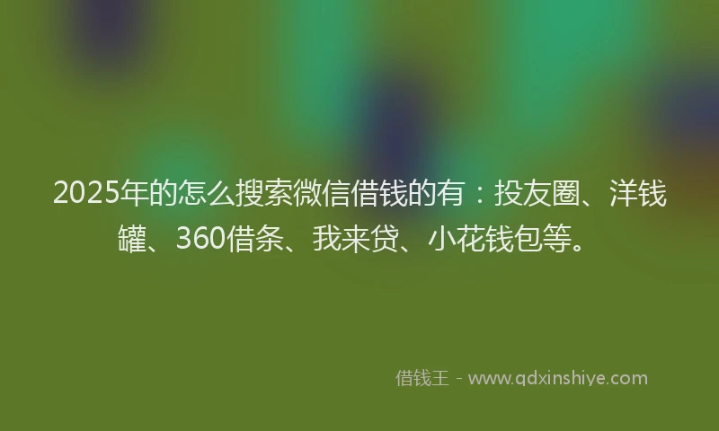 2025年的怎么搜索微信借钱的有：投友圈、洋钱罐、360借条、我来贷、小花钱包等。