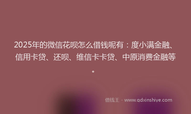 2025年的微信花呗怎么借钱呢有：度小满金融、信用卡贷、还呗、维信卡卡贷、中原消费金融等。