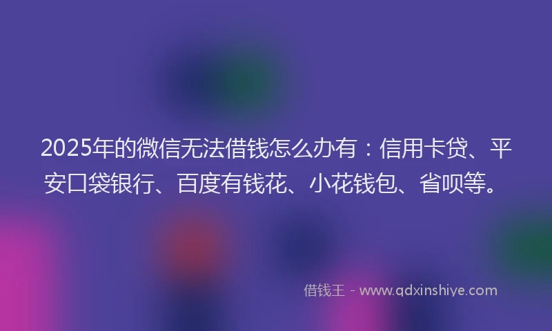2025年的微信无法借钱怎么办有：信用卡贷、平安口袋银行、百度有钱花、小花钱包、省呗等。