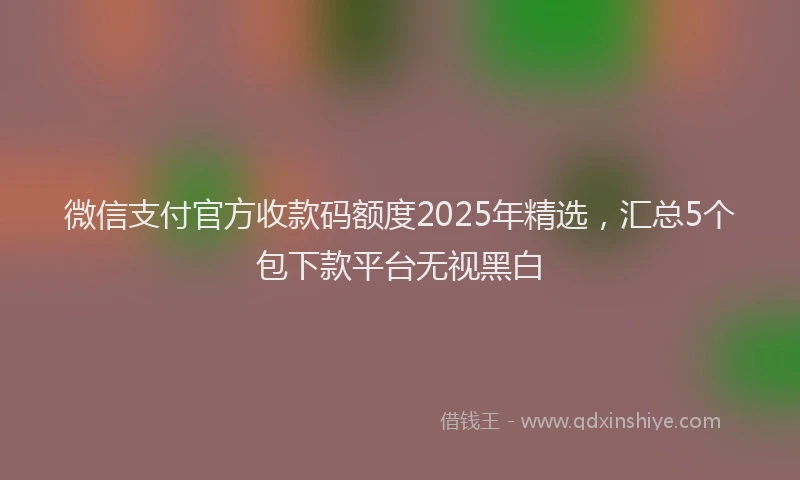 微信支付官方收款码额度2025年精选，汇总5个包下款平台无视黑白