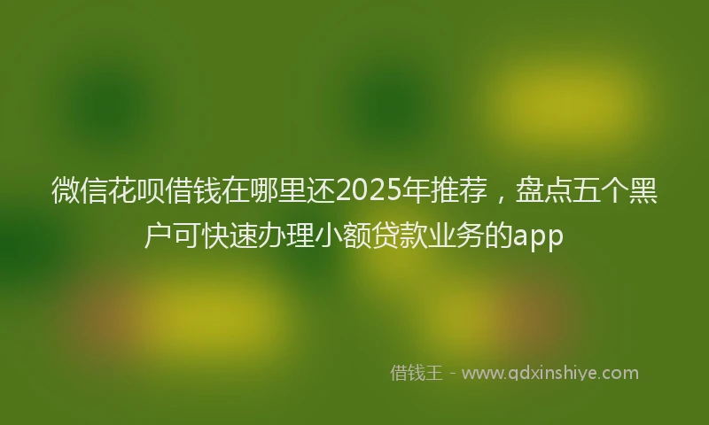 微信花呗借钱在哪里还2025年推荐，盘点五个黑户可快速办理小额贷款业务的app