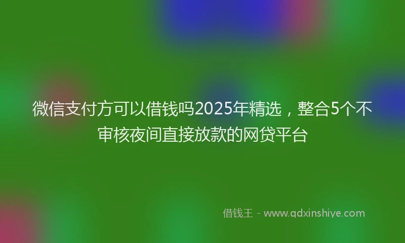 微信支付方可以借钱吗2025年精选，整合5个不审核夜间直接放款的网贷平台