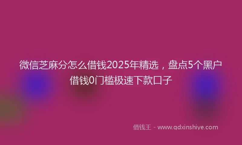 微信芝麻分怎么借钱2025年精选，盘点5个黑户借钱0门槛极速下款口子