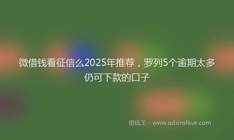 微借钱看征信么2025年推荐，罗列5个逾期太多仍可下款的口子