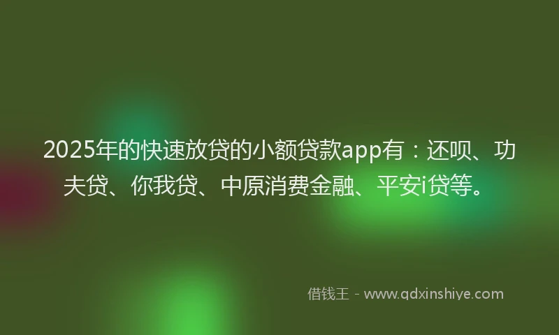 2025年的快速放贷的小额贷款app有：还呗、功夫贷、你我贷、中原消费金融、平安i贷等。