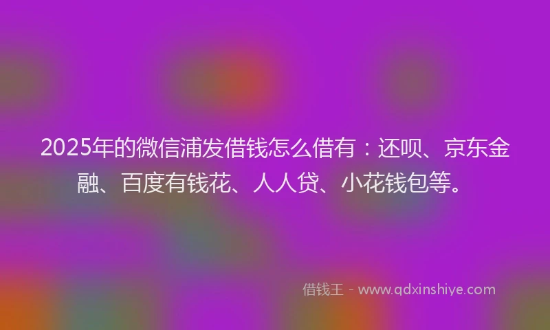 2025年的微信浦发借钱怎么借有：还呗、京东金融、百度有钱花、人人贷、小花钱包等。