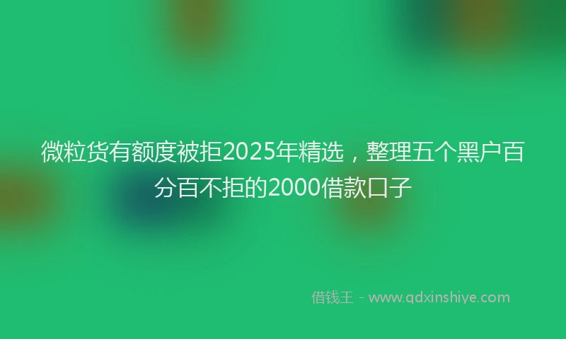 微粒货有额度被拒2025年精选，整理五个黑户百分百不拒的2000借款口子