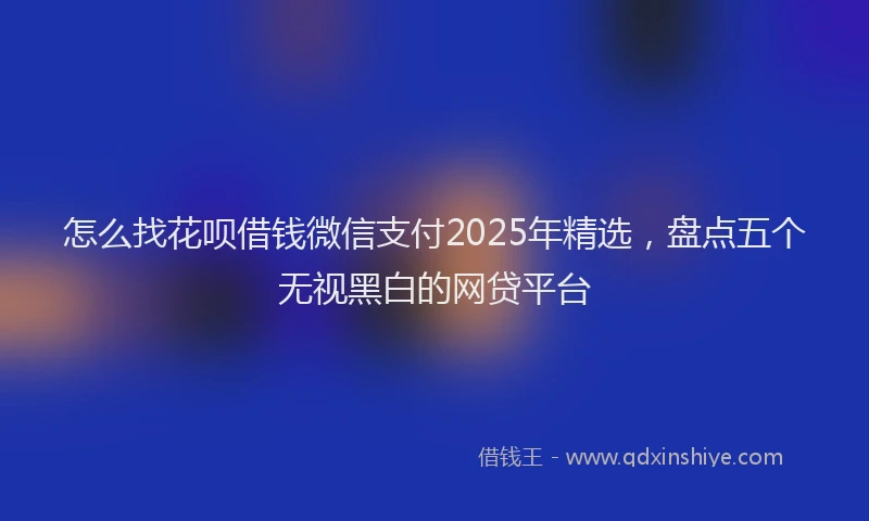 怎么找花呗借钱微信支付2025年精选，盘点五个无视黑白的网贷平台