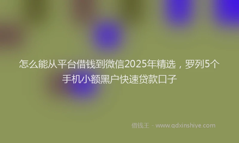 怎么能从平台借钱到微信2025年精选，罗列5个手机小额黑户快速贷款口子