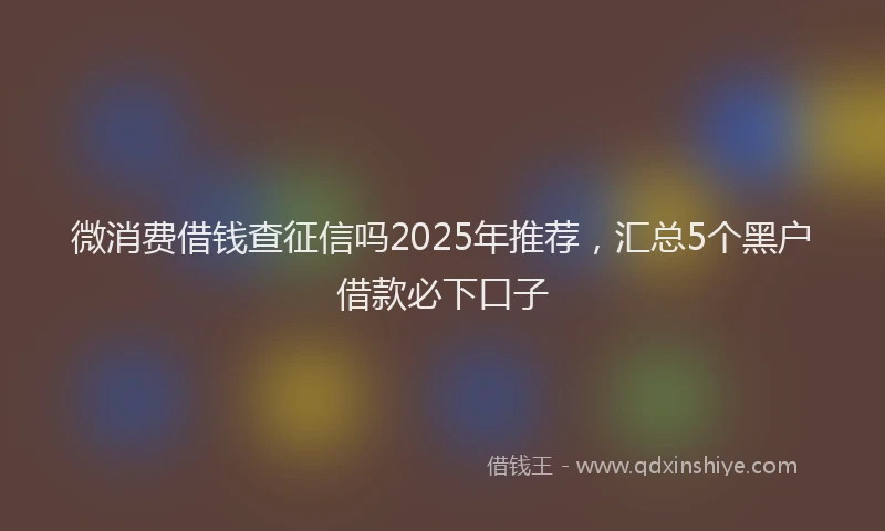 微消费借钱查征信吗2025年推荐，汇总5个黑户借款必下口子