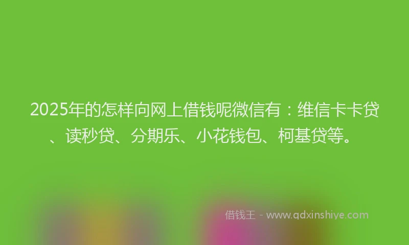 2025年的怎样向网上借钱呢微信有：维信卡卡贷、读秒贷、分期乐、小花钱包、柯基贷等。